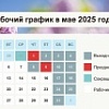     2025 . 